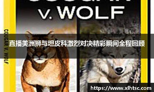 直播美洲狮与坦皮科激烈对决精彩瞬间全程回顾